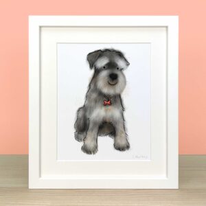 Large Frame Schnauzer
