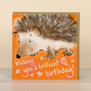 Hedgehog Birthday Card