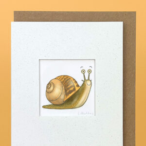 Handmade Snail Card