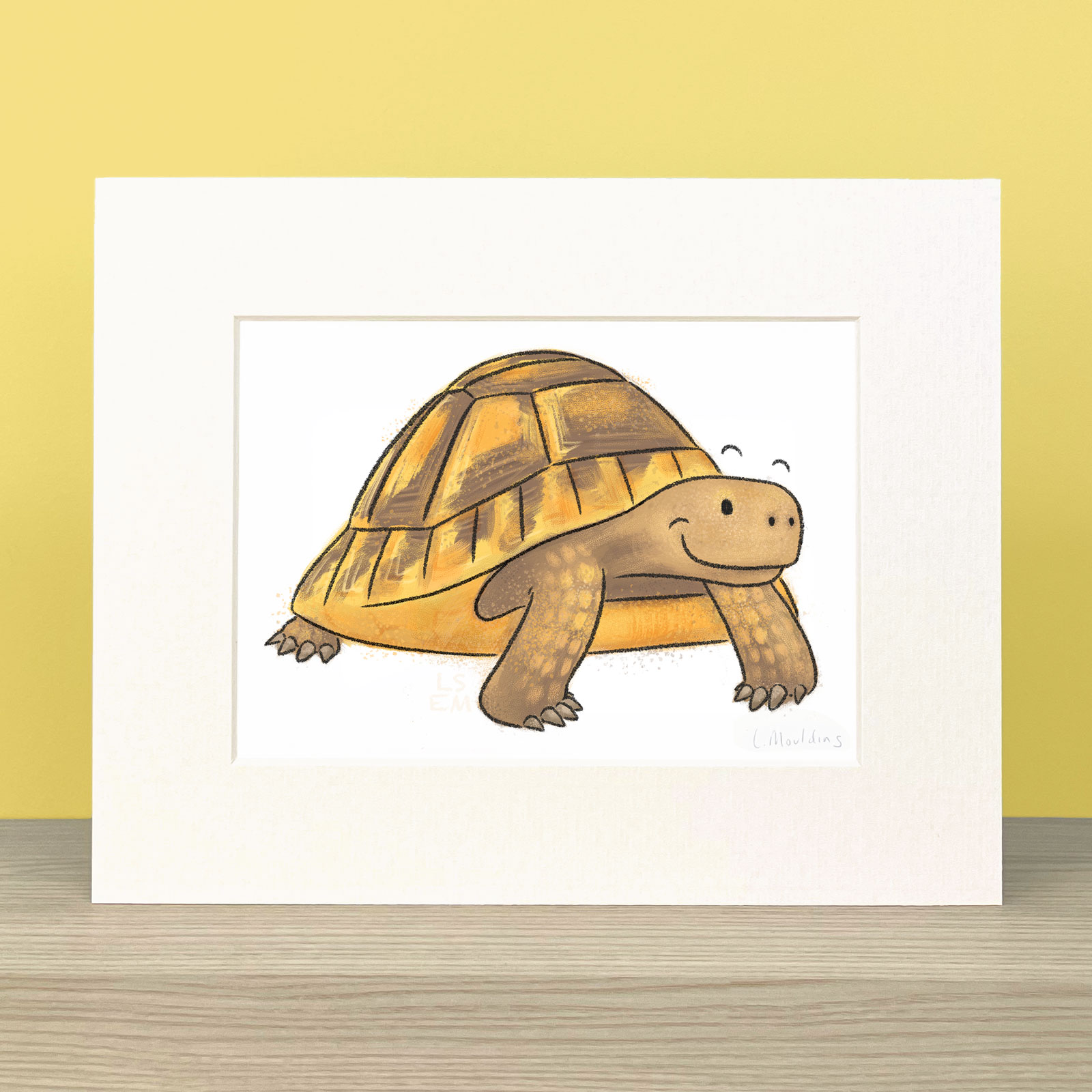 Tortoise Artwork - Image 3